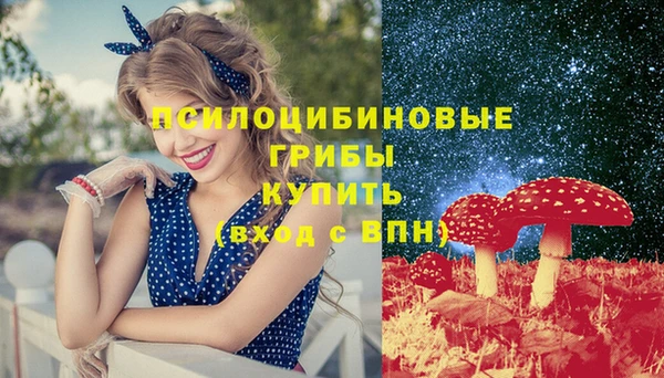 стафф Армянск