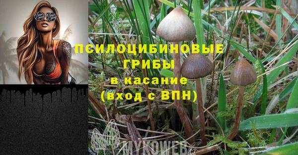 трава Арсеньев