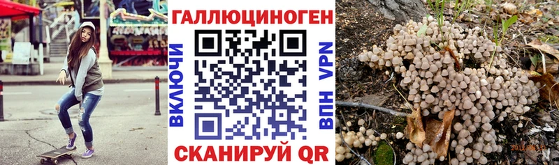 Галлюциногенные грибы Psilocybe  Таруса 